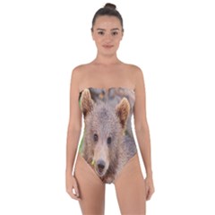 Baby Bear Animals Tie Back One Piece Swimsuit by Mariart