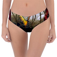 Funny Parrots In A Fantasy World Reversible Classic Bikini Bottoms by FantasyWorld7