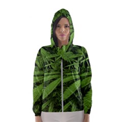 Marijuana Plants Pattern Hooded Wind Breaker (women) by dflcprints