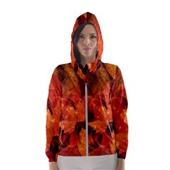 Ablaze With Beautiful Fractal Fall Colors Hooded Wind Breaker (women) by jayaprime