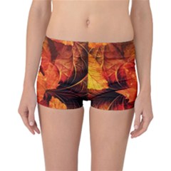 Ablaze With Beautiful Fractal Fall Colors Reversible Boyleg Bikini Bottoms by jayaprime