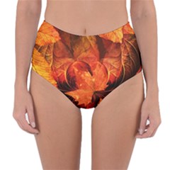 Ablaze With Beautiful Fractal Fall Colors Reversible High-waist Bikini Bottoms by jayaprime