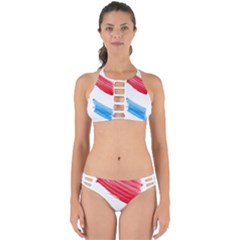 Tricolor Banner Watercolor Painting Art Perfectly Cut Out Bikini Set by picsaspassion