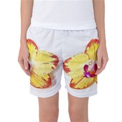 Phalaenopsis Yellow Flower, Floral Oil Painting Art Women s Basketball Shorts by picsaspassion