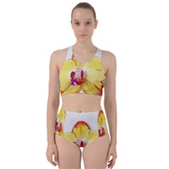 Phalaenopsis Yellow Flower, Floral Oil Painting Art Racer Back Bikini Set by picsaspassion