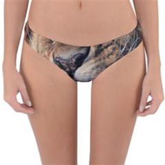 Male Lion Angry Reversible Hipster Bikini Bottoms by Celenk