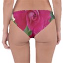 Romantic Red Rose Photography Reversible Hipster Bikini Bottoms View4