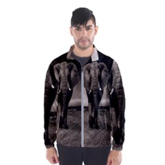 Elephant Black And White Animal Wind Breaker (men) by Celenk