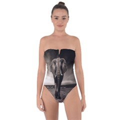 Elephant Black And White Animal Tie Back One Piece Swimsuit by Celenk