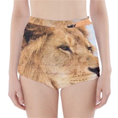 Big Male Lion Looking Right High-waisted Bikini Bottoms by Ucco