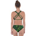 Bokeh Background Texture Marijuana Criss Cross Bikini Set View2