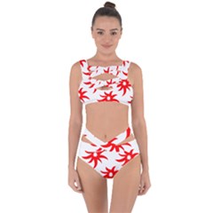 Star Figure Form Pattern Structure Bandaged Up Bikini Set  by Celenk