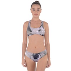 Cat Pet Art Abstract Vintage Criss Cross Bikini Set by Celenk