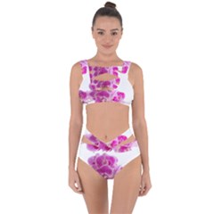 Orchid Phaleonopsis Art Plant Bandaged Up Bikini Set  by Celenk