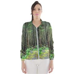 Forest Woods Nature Landscape Tree Wind Breaker (women) by Celenk