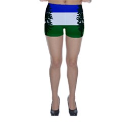 Flag Of Cascadia Skinny Shorts by abbeyz71