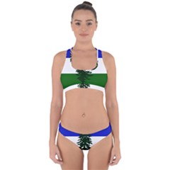 Flag Of Cascadia Cross Back Hipster Bikini Set by abbeyz71