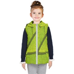 Green Leaf Plant Nature Structure Kid s Puffer Vest by Nexatart