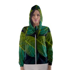 Green Plant Leaf Foliage Nature Hooded Wind Breaker (women)