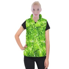 Green Wood The Leaves Twig Leaf Texture Women s Button Up Puffer Vest by Nexatart