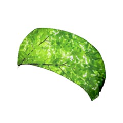 Green Wood The Leaves Twig Leaf Texture Yoga Headband