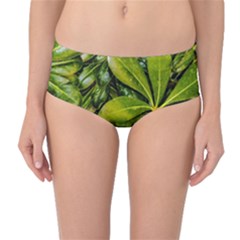 Top View Leaves Mid-waist Bikini Bottoms by dflcprints