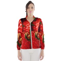 Red Strawberries Wind Breaker (women)