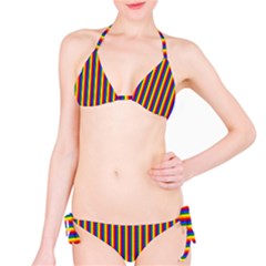 Vertical Gay Pride Rainbow Flag Pin Stripes Bikini Set by PodArtist