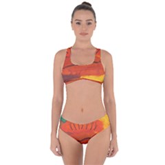 Guy With Weird Haircut Criss Cross Bikini Set