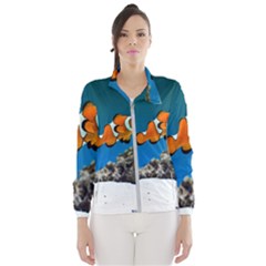 Clownfish 1 Wind Breaker (women) by trendistuff