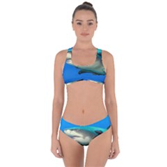 Lemon Shark Criss Cross Bikini Set by trendistuff