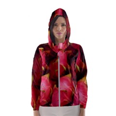 Dragonfruit Hooded Wind Breaker (women) by trendistuff
