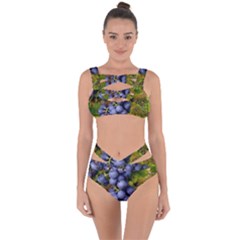 Grapes 1 Bandaged Up Bikini Set  by trendistuff