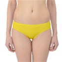 Gadsden Flag Don t tread on me Hipster Bikini Bottoms View1