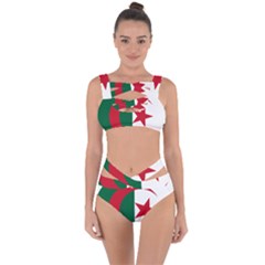 Roundel Of Algeria Air Force Bandaged Up Bikini Set  by abbeyz71