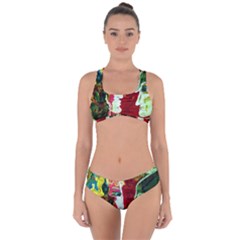 Dscf1676 - Roxana And Alexander Criss Cross Bikini Set by bestdesignintheworld