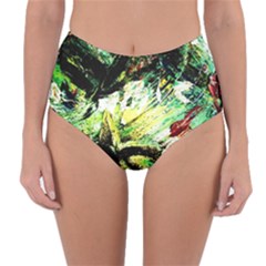 In The Nest And Around 4 Reversible High-waist Bikini Bottoms by bestdesignintheworld