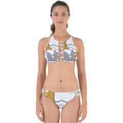 Dog Bath Grooming Perfectly Cut Out Bikini Set by Simbadda