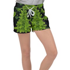Decoration Green Black Background Women s Velour Lounge Shorts by Sapixe