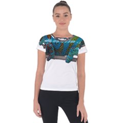 Reptile Lizard Animal Isolated Short Sleeve Sports Top 