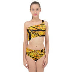 Golden Vein Spliced Up Two Piece Swimsuit by FunnyCow
