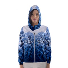 Nature Inspiration Trees Blue Hooded Windbreaker (women) by Nexatart