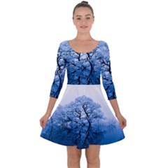 Nature Inspiration Trees Blue Quarter Sleeve Skater Dress by Nexatart