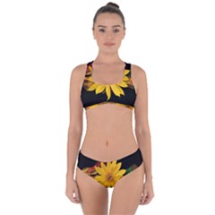 Sun Flower Blossom Bloom Particles Criss Cross Bikini Set by Nexatart