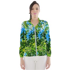 Forest   Strain Towards The Light Windbreaker (women) by FunnyCow