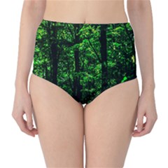 Emerald Forest Classic High-waist Bikini Bottoms by FunnyCow
