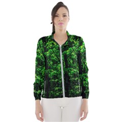 Emerald Forest Windbreaker (women) by FunnyCow