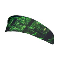 Emerald Forest Stretchable Headband