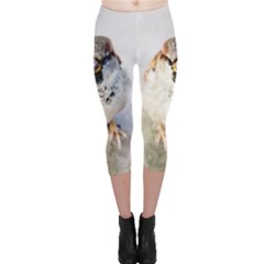Do Not Mess With Sparrows Capri Leggings  by FunnyCow
