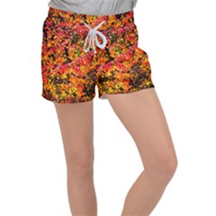 Orange, Yellow Cotoneaster Leaves In Autumn Women s Velour Lounge Shorts by FunnyCow